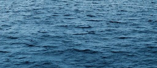 SENTIMENT OCÉANIQUE