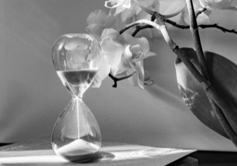 L’utile et l’important